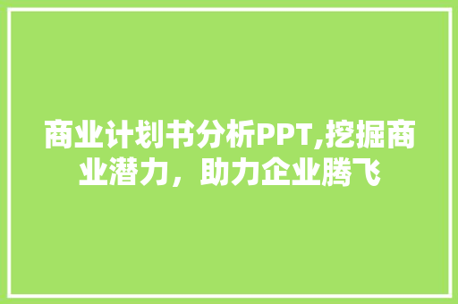 商业计划书分析PPT,挖掘商业潜力，助力企业腾飞