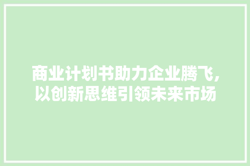 商业计划书助力企业腾飞,以创新思维引领未来市场