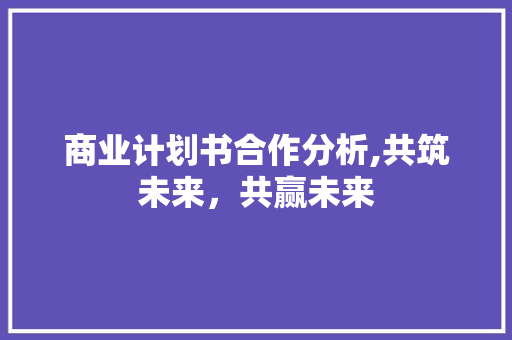 商业计划书合作分析,共筑未来，共赢未来