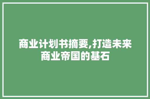 商业计划书摘要,打造未来商业帝国的基石