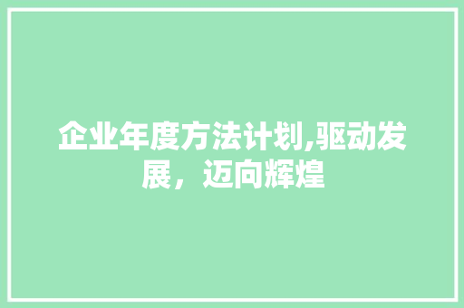 企业年度方法计划,驱动发展，迈向辉煌