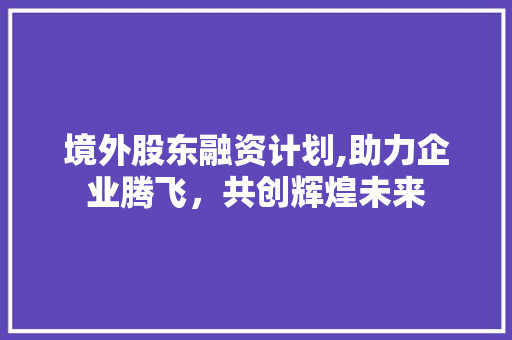 境外股东融资计划,助力企业腾飞，共创辉煌未来