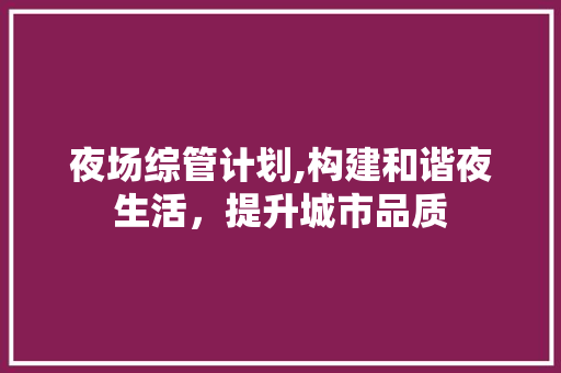 夜场综管计划,构建和谐夜生活，提升城市品质