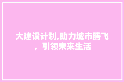 大建设计划,助力城市腾飞，引领未来生活