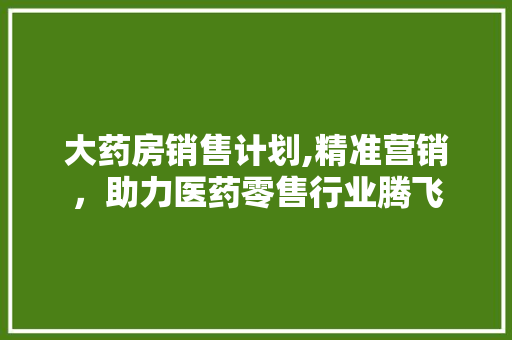 大药房销售计划,精准营销，助力医药零售行业腾飞