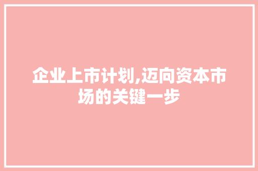 企业上市计划,迈向资本市场的关键一步