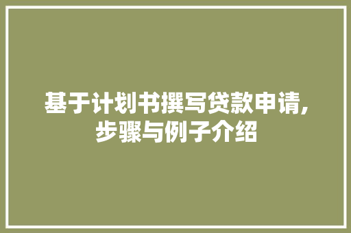 基于计划书撰写贷款申请,步骤与例子介绍