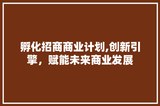 孵化招商商业计划,创新引擎，赋能未来商业发展 工作总结