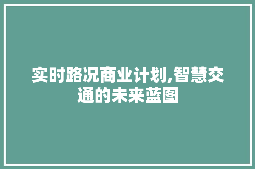 实时路况商业计划,智慧交通的未来蓝图 个人简历