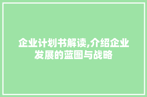 企业计划书解读,介绍企业发展的蓝图与战略