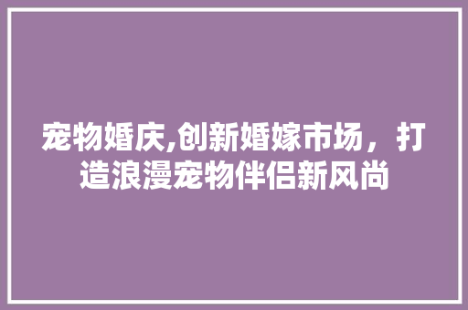 宠物婚庆,创新婚嫁市场，打造浪漫宠物伴侣新风尚