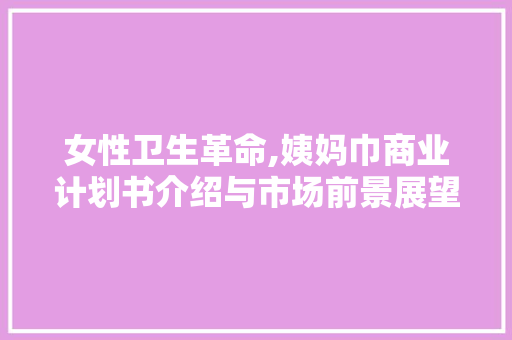 女性卫生革命,姨妈巾商业计划书介绍与市场前景展望 工作计划
