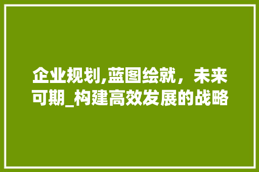 企业规划,蓝图绘就，未来可期_构建高效发展的战略蓝图