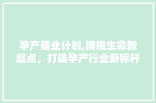 孕产商业计划,拥抱生命新起点，打造孕产行业新标杆