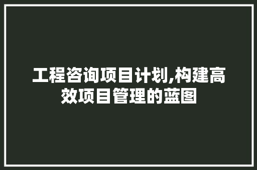工程咨询项目计划,构建高效项目管理的蓝图