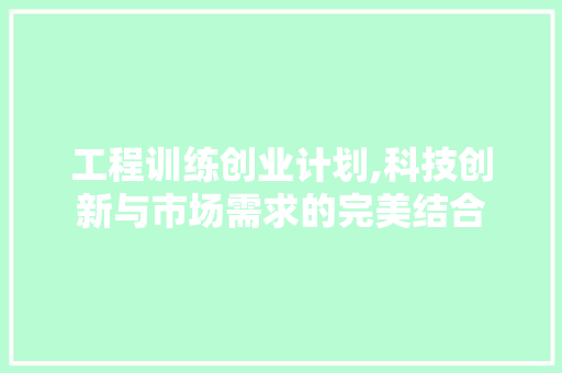 工程训练创业计划,科技创新与市场需求的完美结合