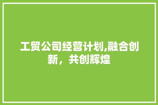 工贸公司经营计划,融合创新，共创辉煌