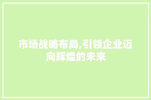 市场战略布局,引领企业迈向辉煌的未来
