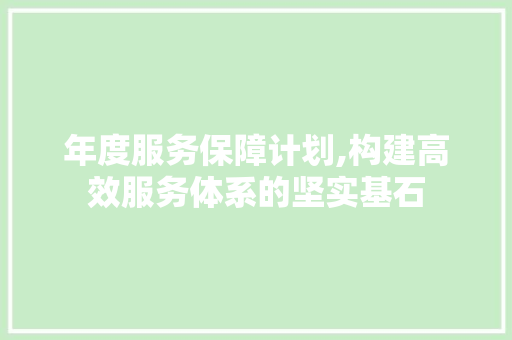 年度服务保障计划,构建高效服务体系的坚实基石