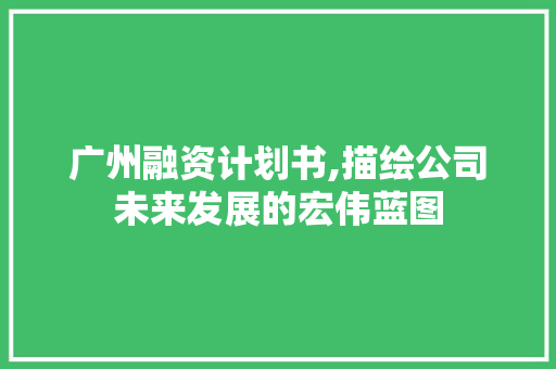 广州融资计划书,描绘公司未来发展的宏伟蓝图
