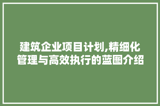 建筑企业项目计划,精细化管理与高效执行的蓝图介绍 个人简历