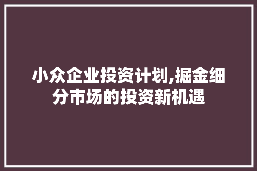 小众企业投资计划,掘金细分市场的投资新机遇