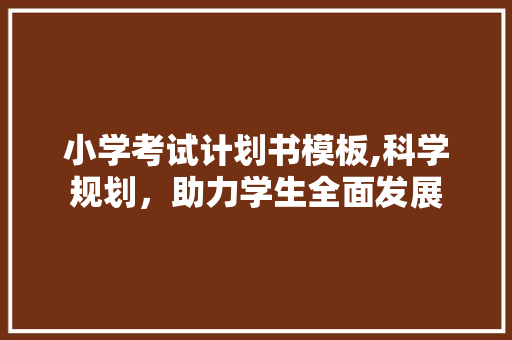 小学考试计划书模板,科学规划，助力学生全面发展