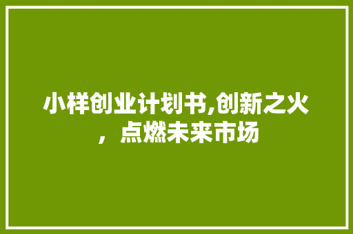 小样创业计划书,创新之火，点燃未来市场 合同范本