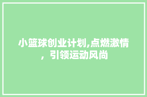 小篮球创业计划,点燃激情，引领运动风尚