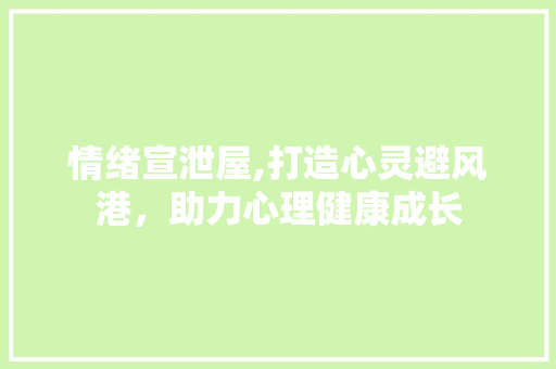情绪宣泄屋,打造心灵避风港，助力心理健康成长