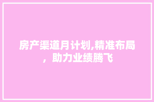 房产渠道月计划,精准布局，助力业绩腾飞
