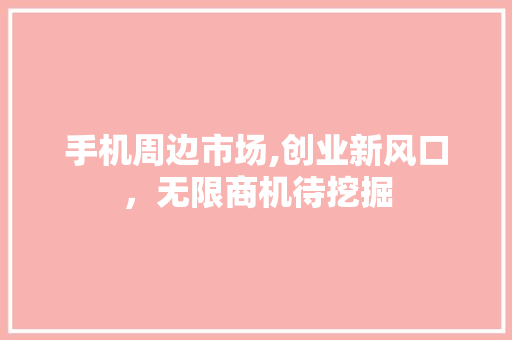 手机周边市场,创业新风口，无限商机待挖掘 演讲稿