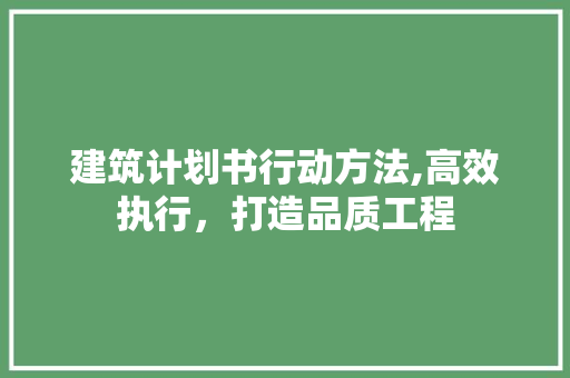 建筑计划书行动方法,高效执行，打造品质工程