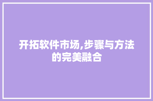开拓软件市场,步骤与方法的完美融合