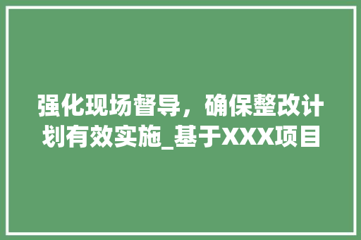 强化现场督导，确保整改计划有效实施_基于XXX项目的方法与思考