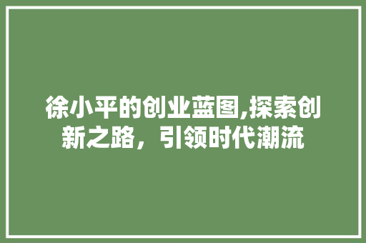 徐小平的创业蓝图,探索创新之路，引领时代潮流