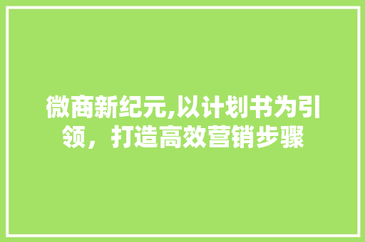 微商新纪元,以计划书为引领，打造高效营销步骤 个人简历