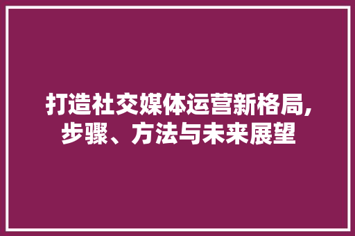 打造社交媒体运营新格局,步骤、方法与未来展望