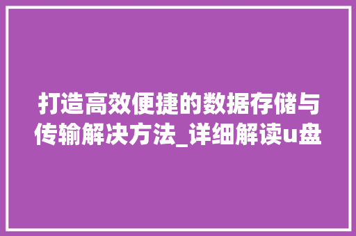 打造高效便捷的数据存储与传输解决方法_详细解读u盘采购计划