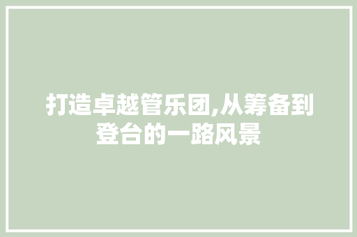 打造卓越管乐团,从筹备到登台的一路风景 成语大全