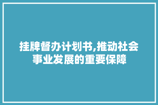 挂牌督办计划书,推动社会事业发展的重要保障 诗词鉴赏