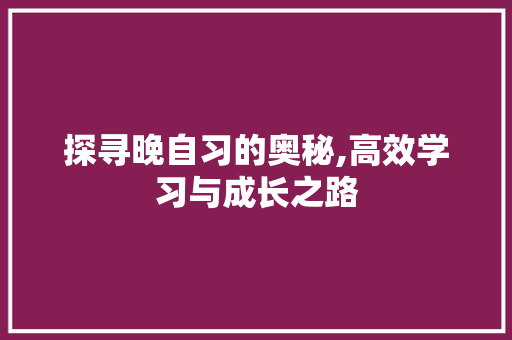 探寻晚自习的奥秘,高效学习与成长之路 国学经典