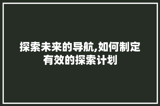 探索未来的导航,如何制定有效的探索计划