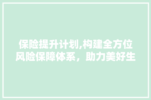 保险提升计划,构建全方位风险保障体系，助力美好生活