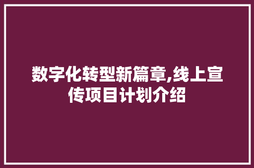 数字化转型新篇章,线上宣传项目计划介绍
