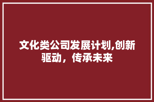 文化类公司发展计划,创新驱动，传承未来