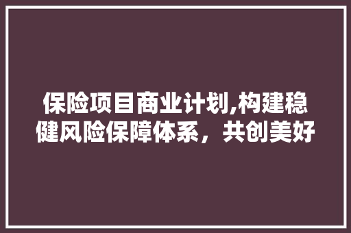 保险项目商业计划,构建稳健风险保障体系，共创美好未来