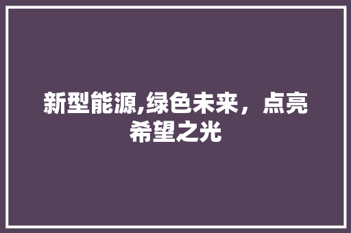 新型能源,绿色未来，点亮希望之光