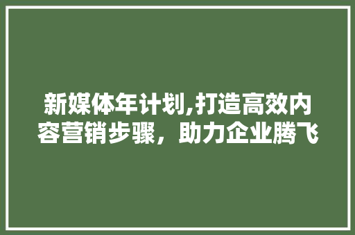 新媒体年计划,打造高效内容营销步骤，助力企业腾飞