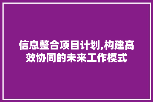信息整合项目计划,构建高效协同的未来工作模式 演讲稿